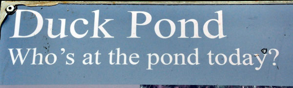 Duck Pond sign
